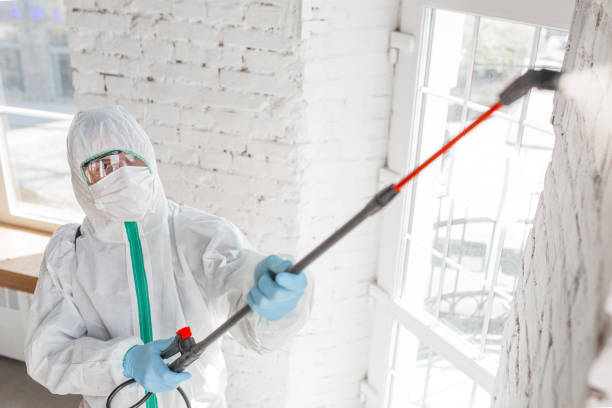 Best Mold Odor Removal Services  in Wartburg, TN